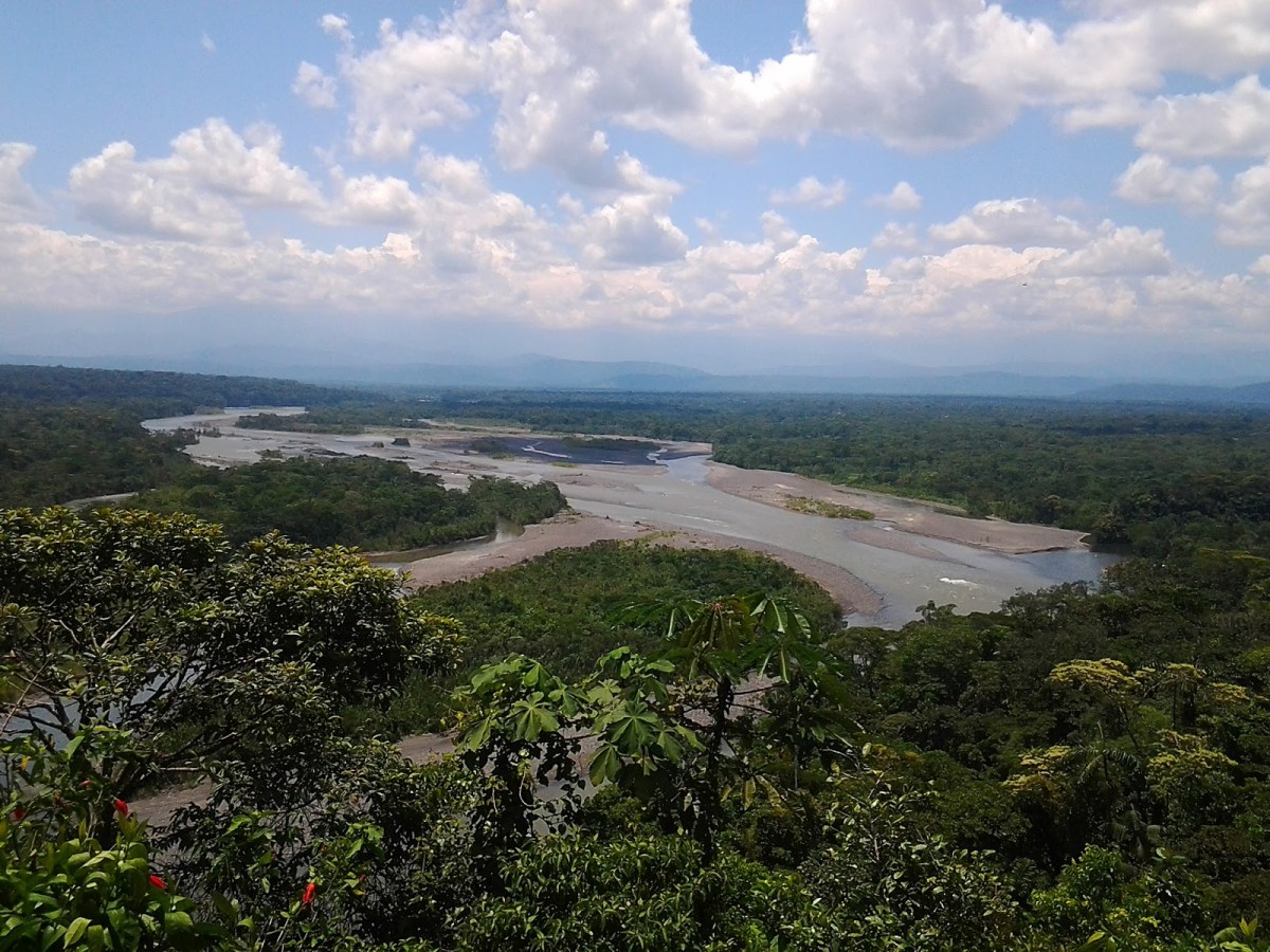 Regenwald von Ahuano