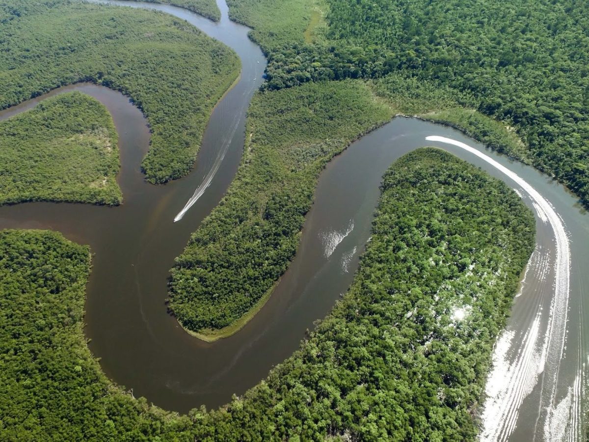Amazonas Fluss