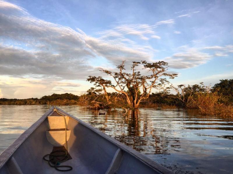 Naturreservat Cuyabeno