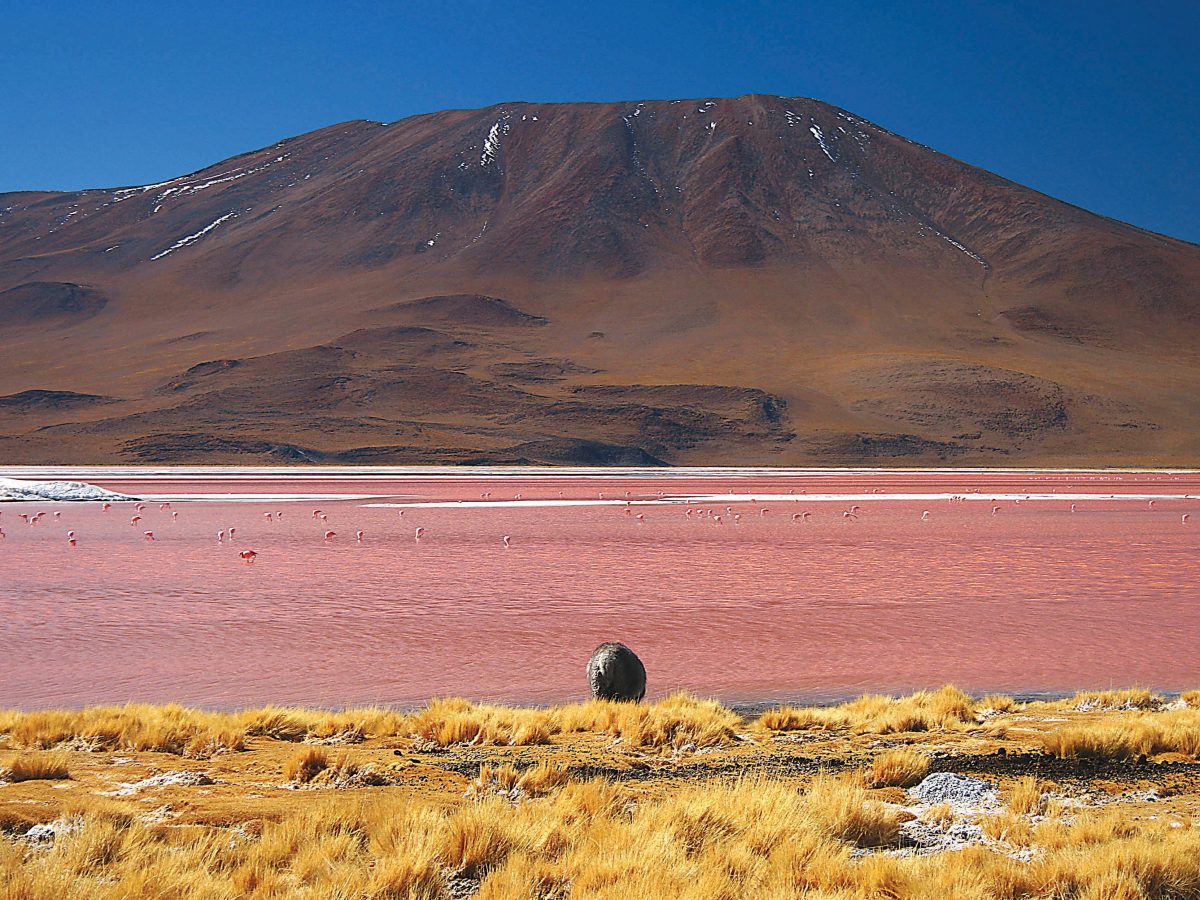 Laguna Colorada