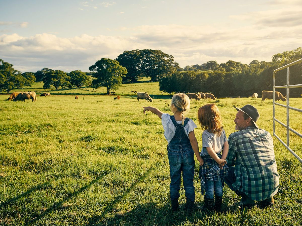 Rural Holidays Farmstay